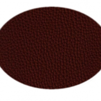 Koženka tmavohnedá