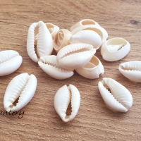 Korálka Mušľa - natural