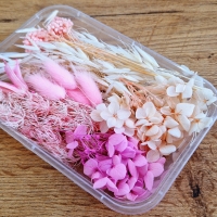 Dekoratívne sušené kvietky - Ružový Mix v krabičke