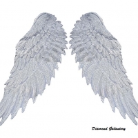 Anjelské krídla flitrové našívacie - strieborné - cena za pár