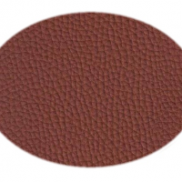 Koženka svetlohnedá