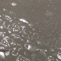 Úplet Dinosaury - šedá strieborná potlač - cena za 10 centimetrov