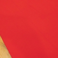 Patent rebrovaný - Červený -  š: 126 cm - cena za 10 centimetrov