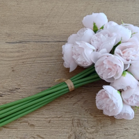 Ozdobný kvietok Pivonka - Rose Pink