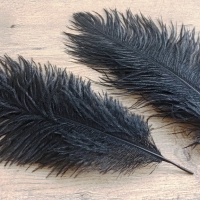 Dekoračné pierka - Čierne - 30-35 cm