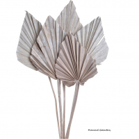 Palmové Listy - 50-55 cm - Bielené