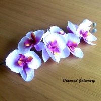 Ozdobná Orchidea - bielo ružová