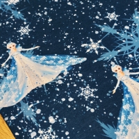 Teplákovina - Ľadové kráľovstvo II - cena za 10 centimetrov