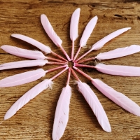 Husacie pierka - ružové