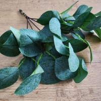 Dekoračný eukalyptus - 30 cm