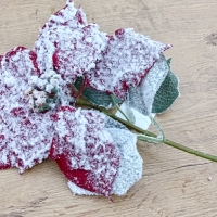 Vianočná ruža - Červená zasnežená - 330 mm