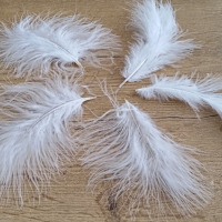 Dekoračé perie biele - 12-15 cm