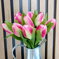 Tulipán - Ružový